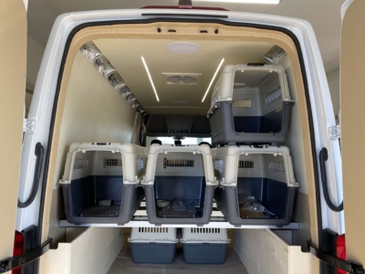 egyedi lakoauto epites atepites gyartas biwak vw crafter 2020 epul 01882DEDDB8 1651 5EA5 438F 1A30945D1C99 egyedi lakoauto epites atepites gyartas biwak vw crafter 2020 epul 01882DEDDB8 1651 5EA5 438F 1A30945D1C99